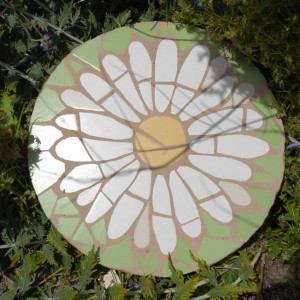 daisy stepping stone in situ