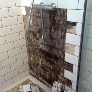 My tiling ruined by a plumber who didn't bother to tighten the shower connections so the water leaked diwn the back of the tiles. I had to chop them off, let it all dry for 2 weeks, then tile into the gap, you'd never know I had to do it looking at it now!