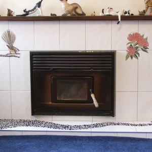 fantail and pohutukawa fireplace