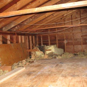 attic above kitchen