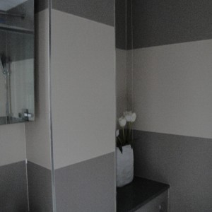 2 colour ensuite