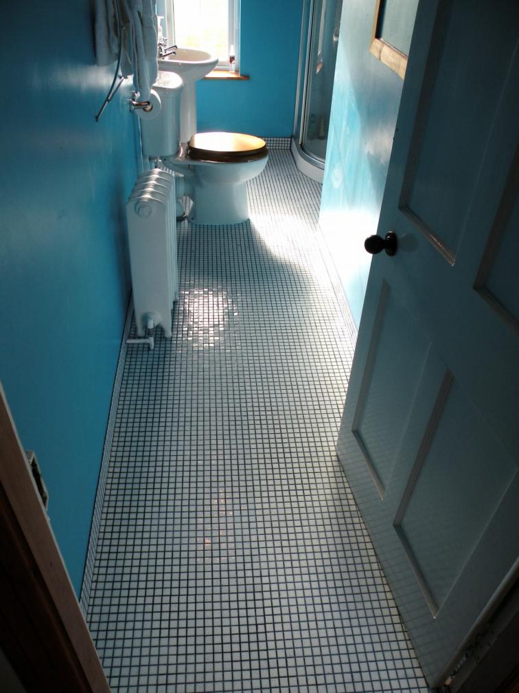 25mm white glass mosaic floor and skirting. Existing vinyl uplifted, existing floorboards made good secured and cupped areas flattened, then HBB fitted over before tiling.