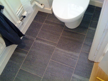 amtico with feature strip