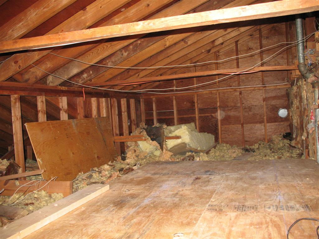 attic above kitchen