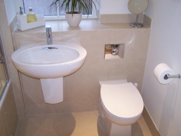 basin wc