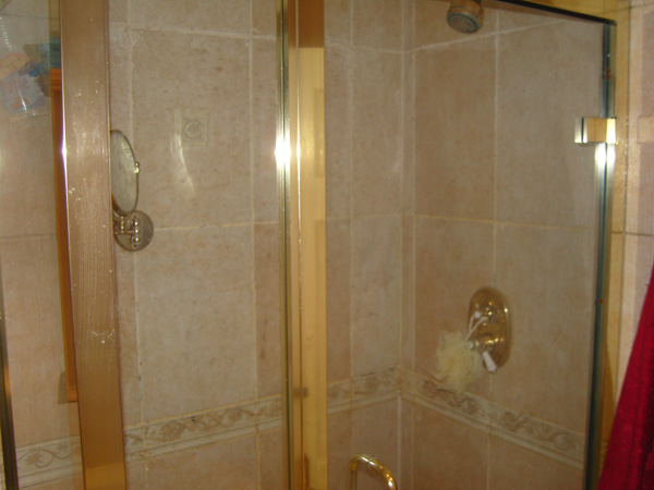 Before - Shower Enclosure