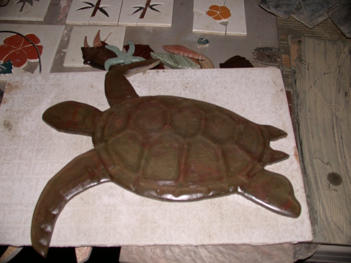 big overlay turtle