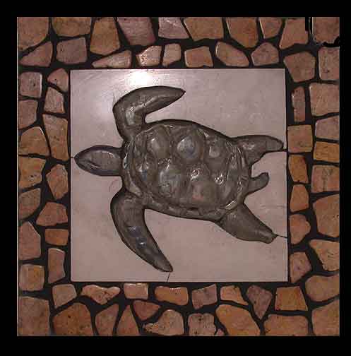 black border sea turtle