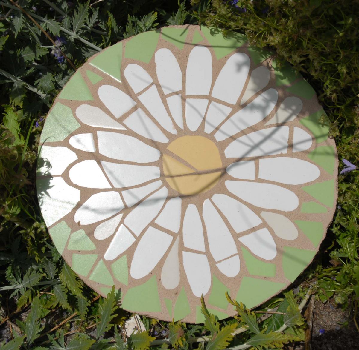 daisy stepping stone in situ