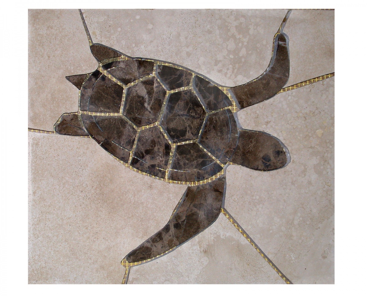 flat turtle