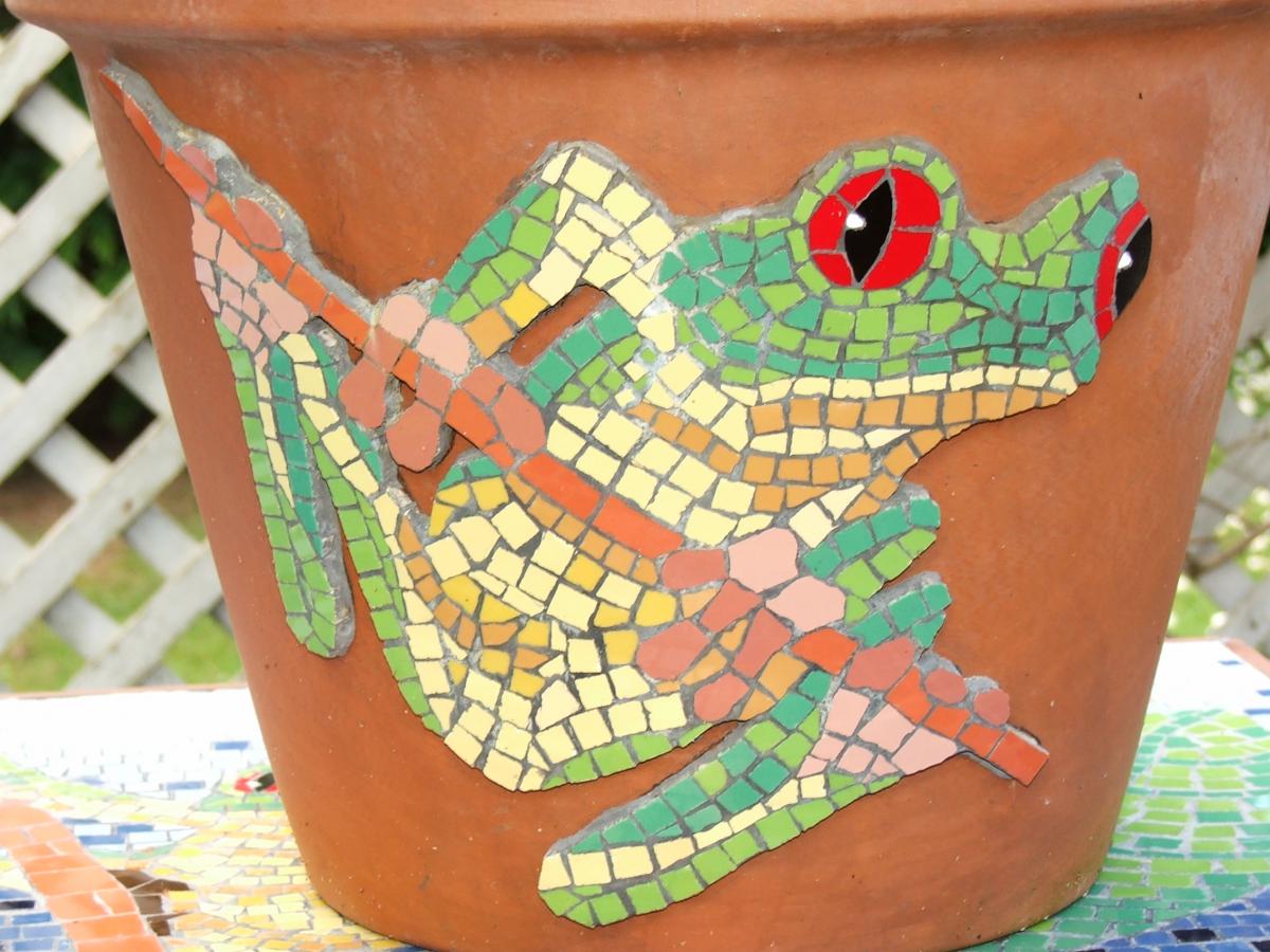 frog plant pot