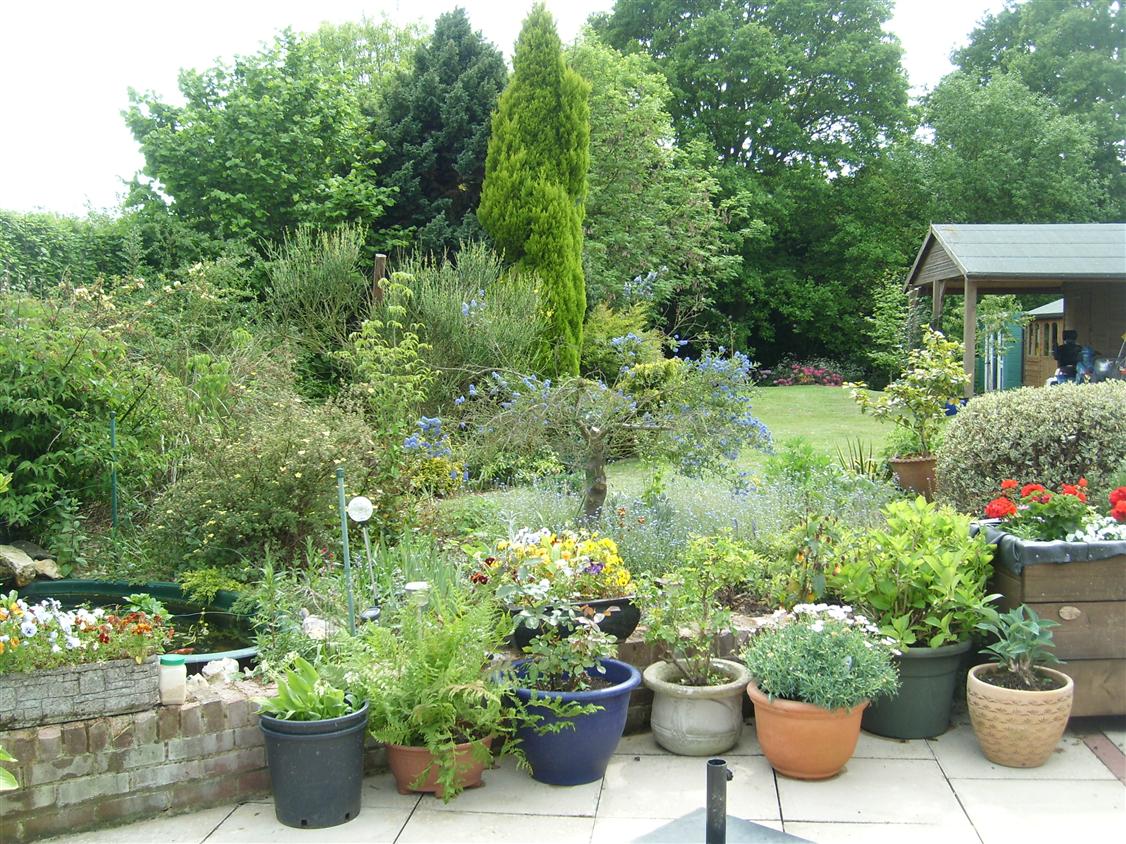 Garden 20052011.jpg