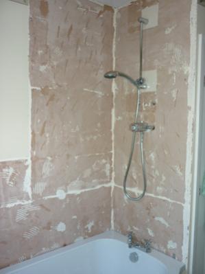 Just the shower to remove,  then "tank and tile"