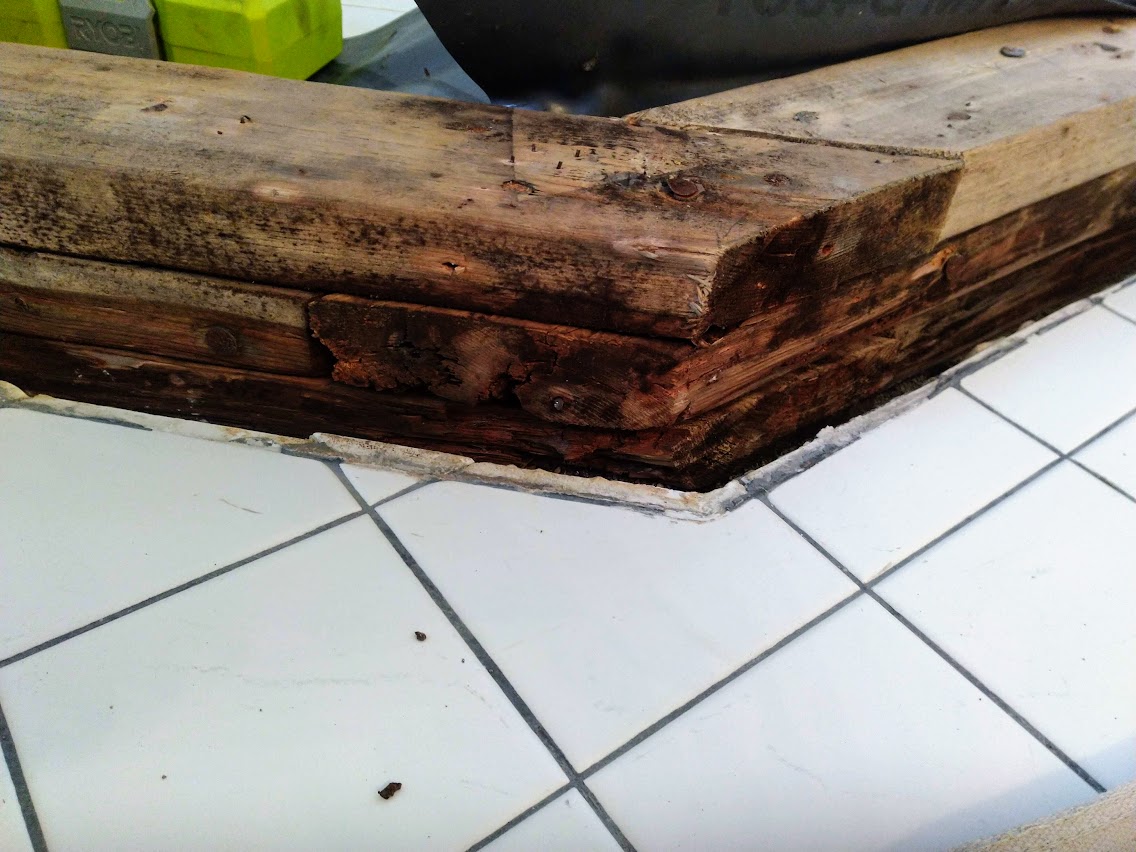 Rotted timber.jpg