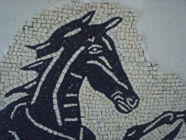 Sea Horse, deatail from baths of Neptune mosaic. 5mm