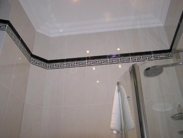 shower wall ceiling