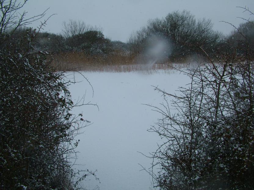 the nook fishery, view from my swim