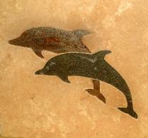 Tile Mural Of Two Dolphins 209x194