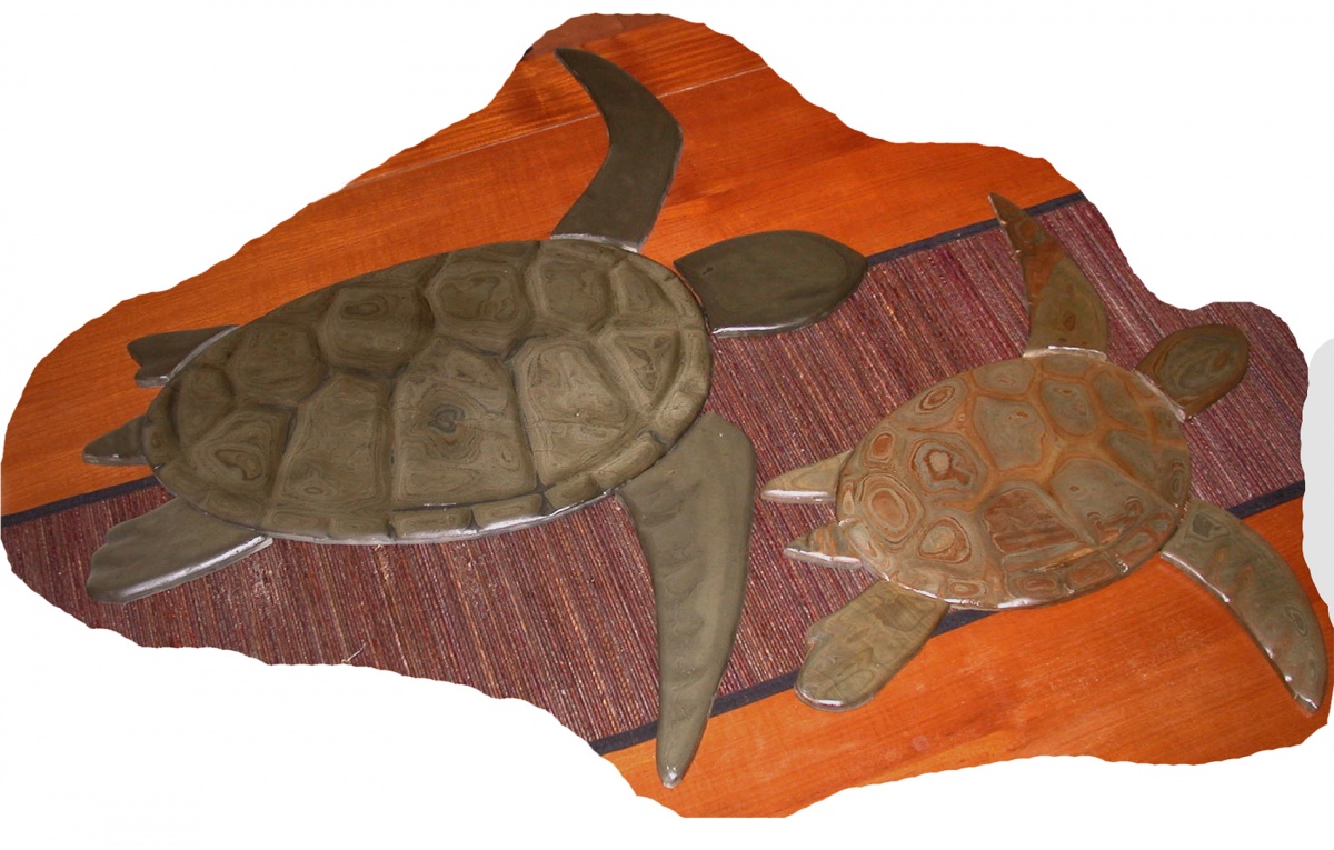 turtles for swimming pool- biger one is over 18" shell