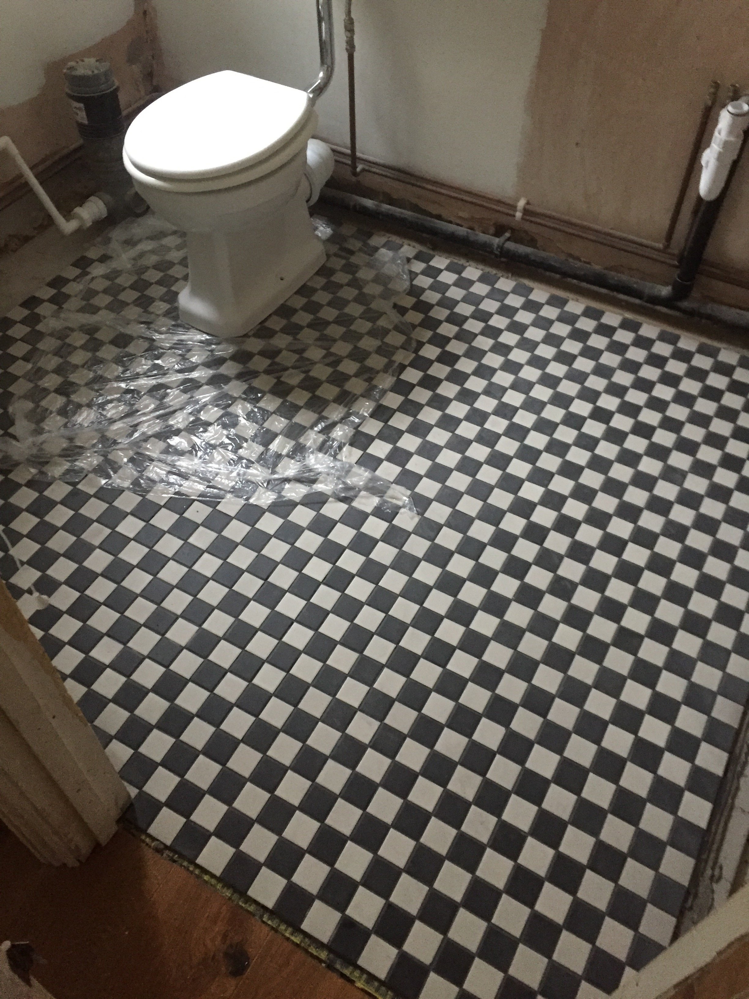 Victorian mosaic bathroom floor