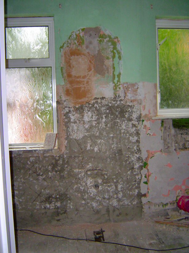 west wall behind basin:  from floor on LHS:  (light grey)cement render, (pink then green) lime plaster to ceiling. on RHS, behind WC, lime plaster to ceiling.